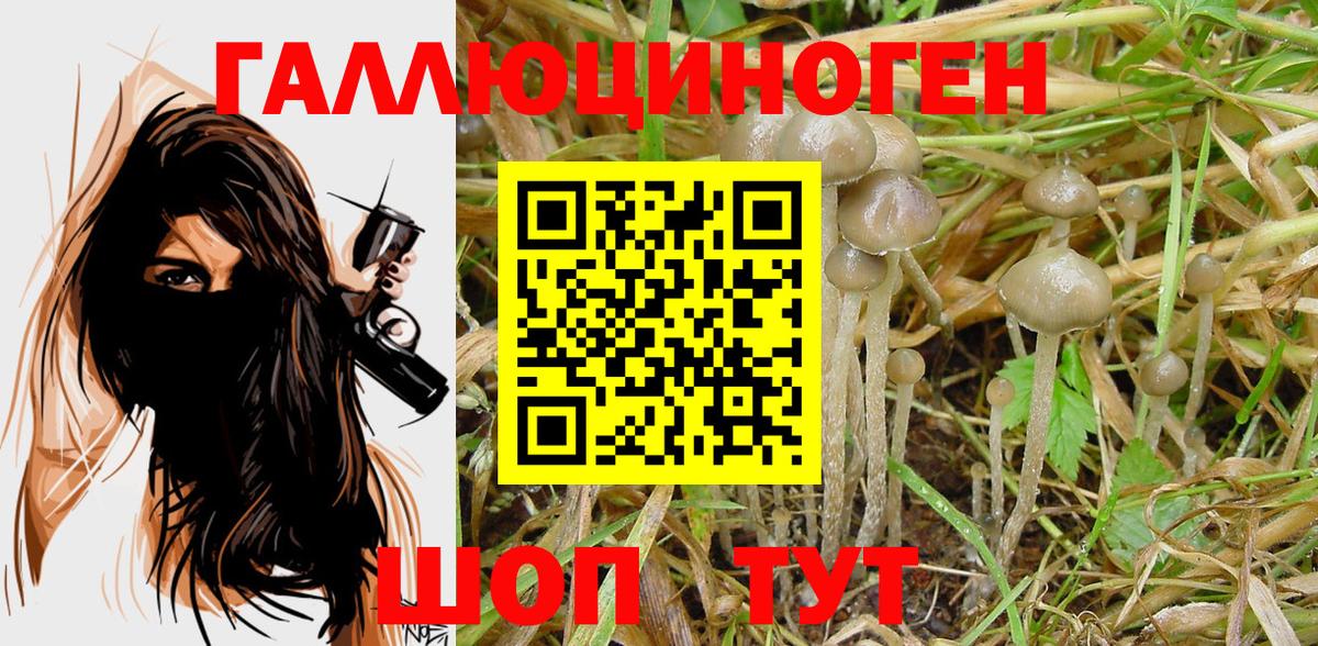 Псилоцибиновые грибы Cubensis Сызрань